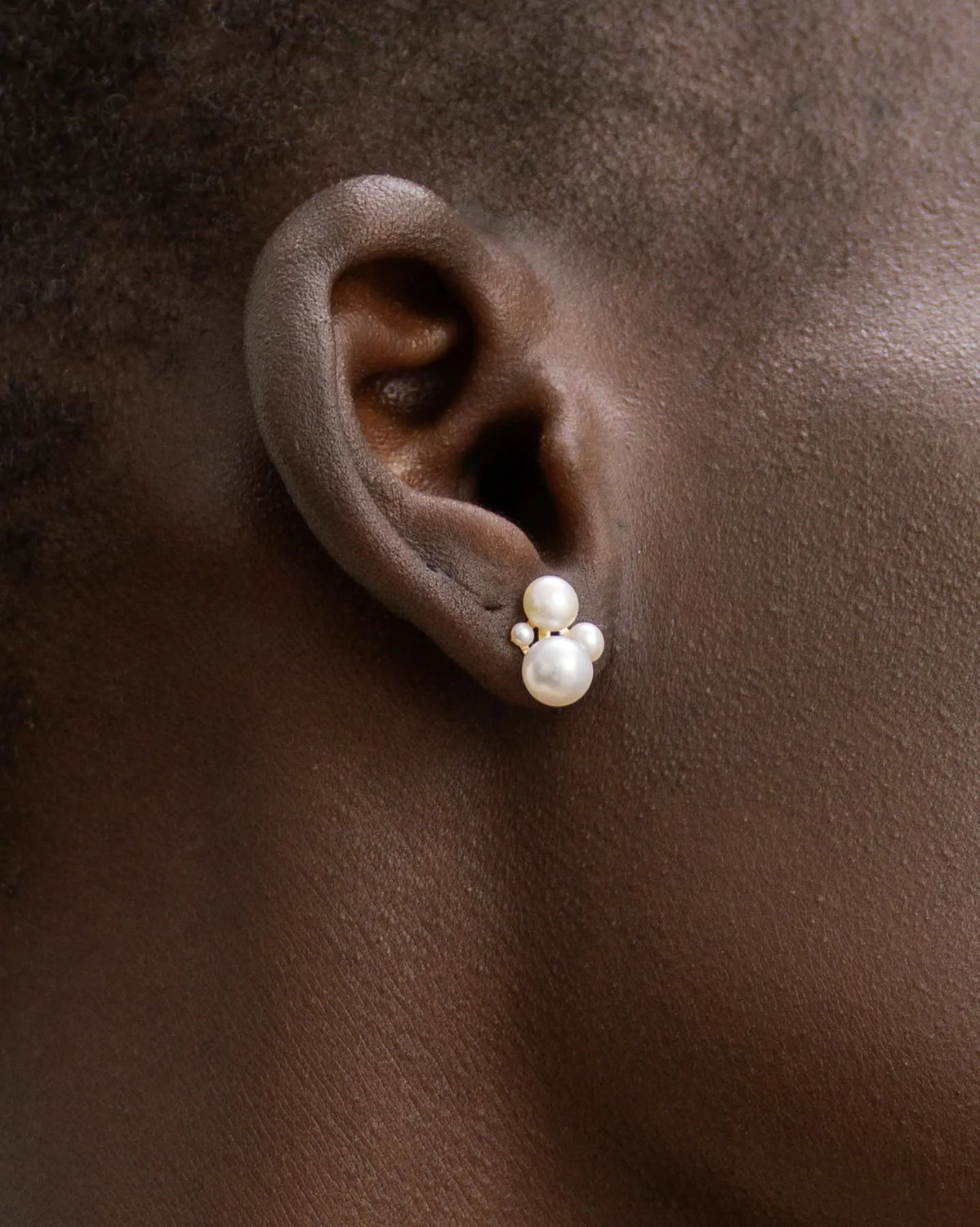Amboise Stud Earrings