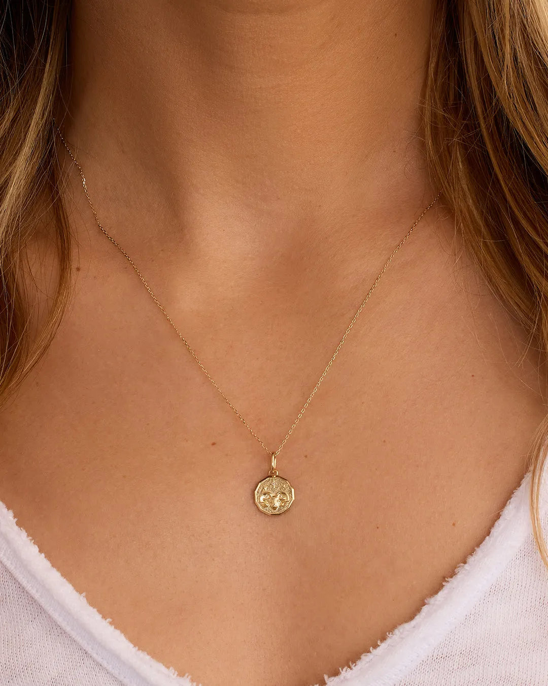 Diamond Zodiac Coin Charm in 14K Gold