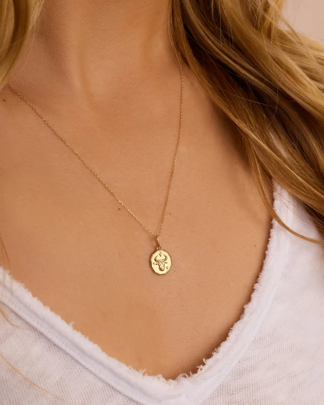 Diamond Zodiac Coin Charm in 14K Gold