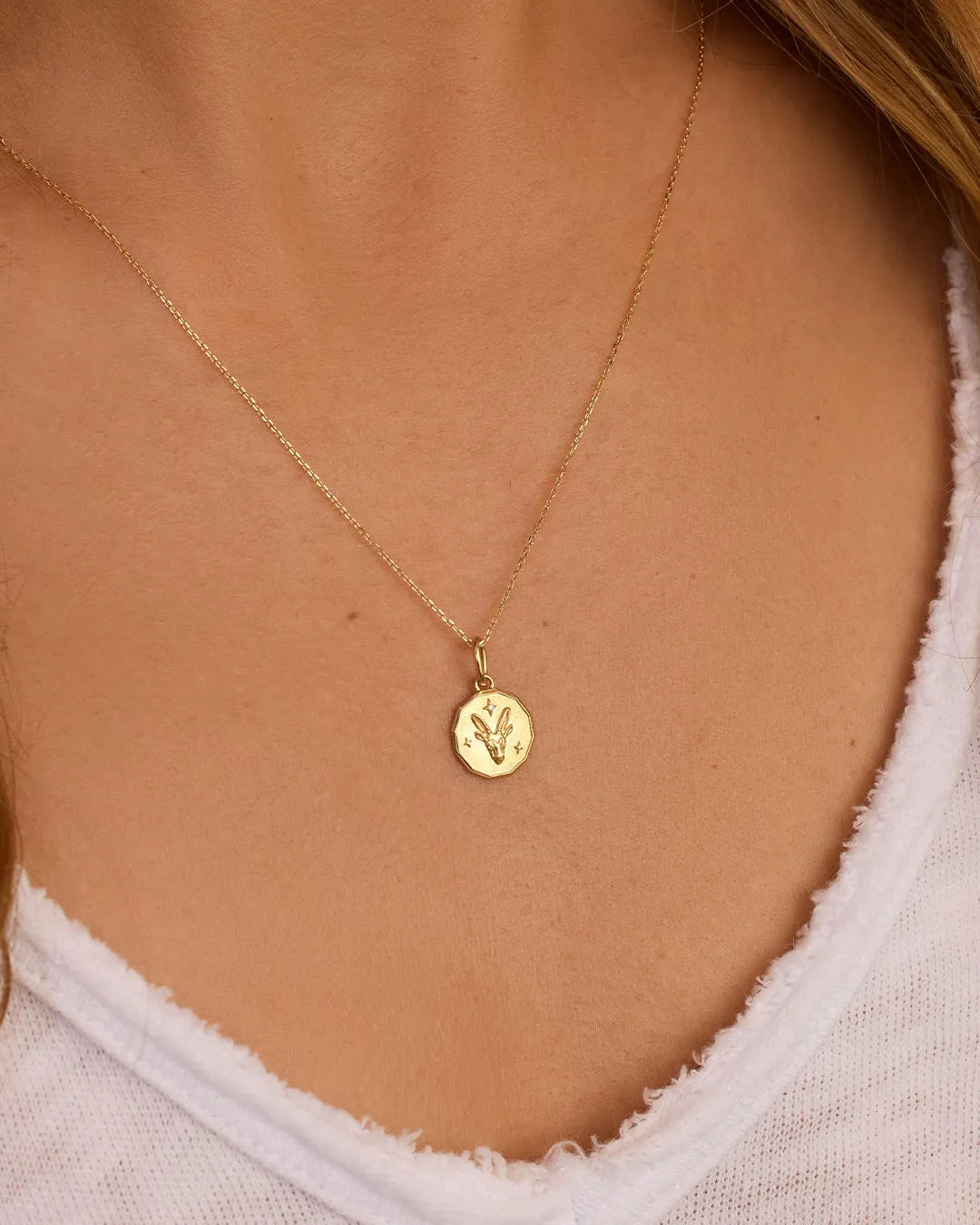 Diamond Zodiac Coin Charm in 14K Gold