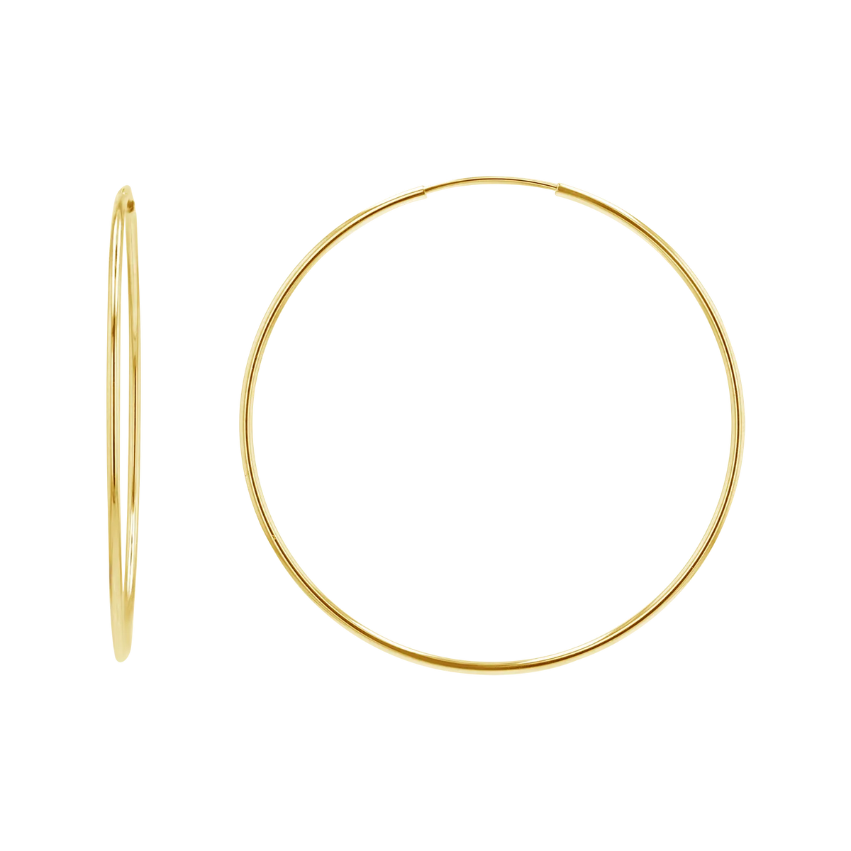 Endless Hoop Earrings in 14K Gold