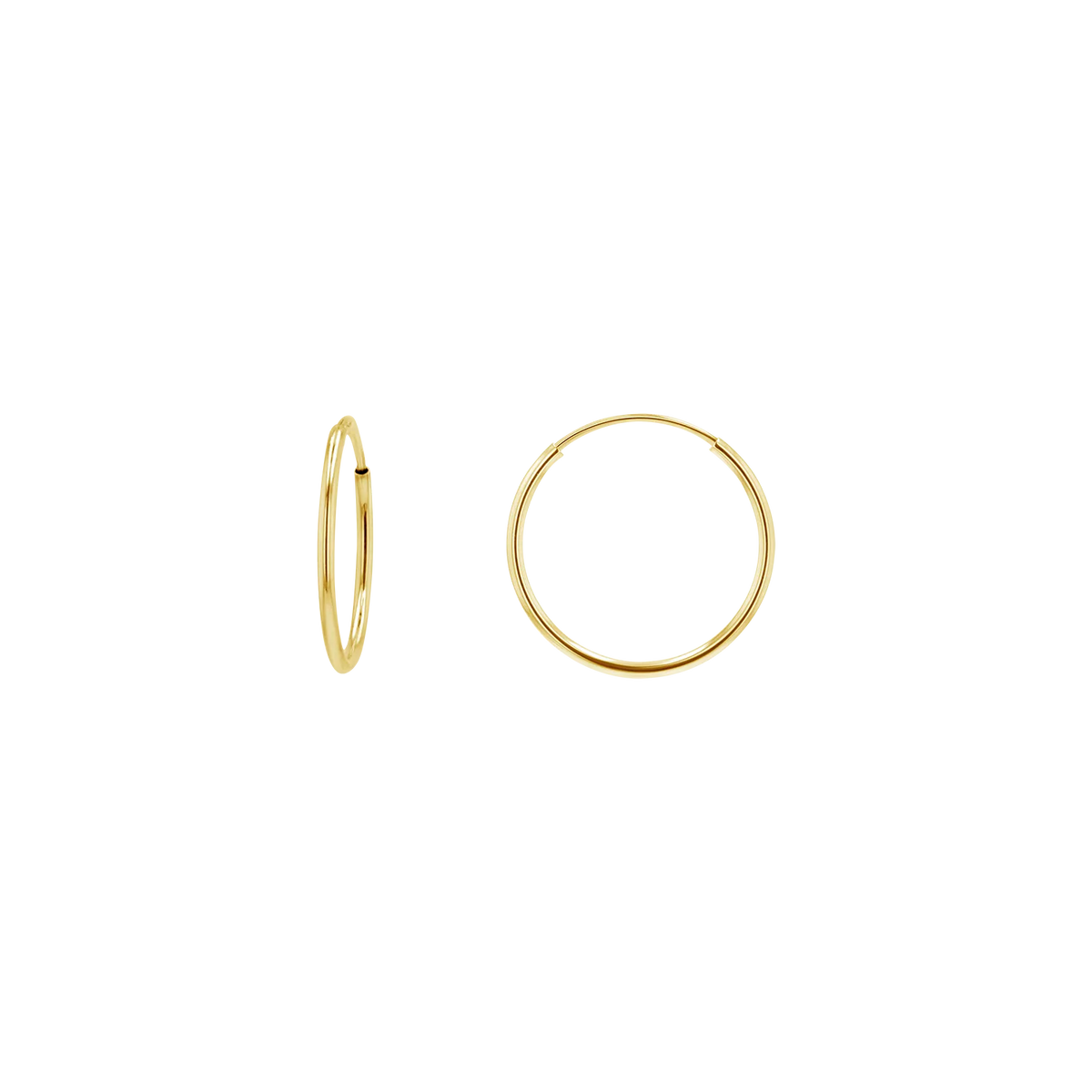 Endless Hoop Earrings in 14K Gold