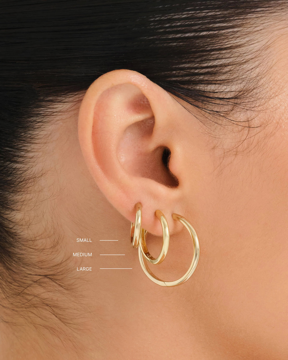 Isola Large Hoop Earrings