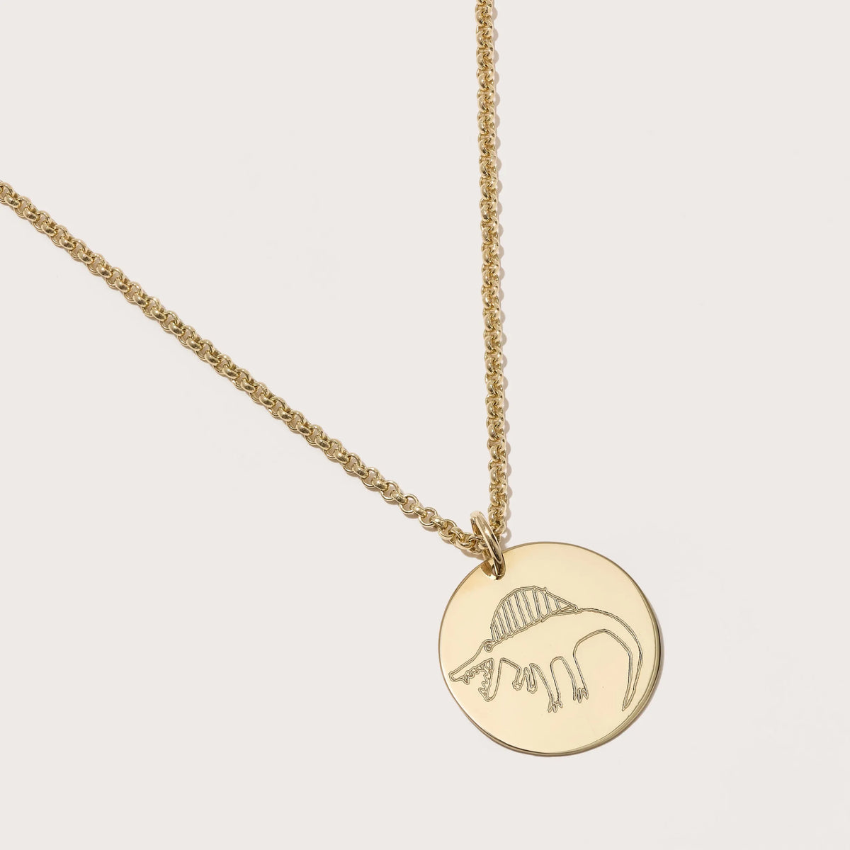 Large Solid Gold Disc Picture Engraving Pendant