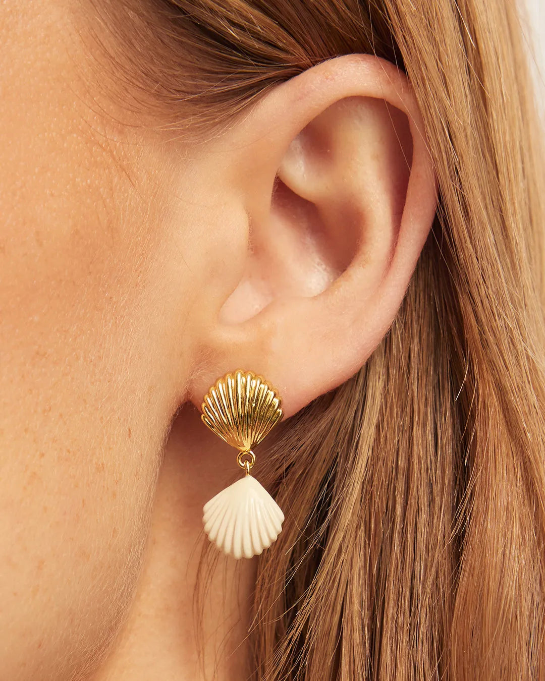 Scallop Earrings in 18K Gold Plated