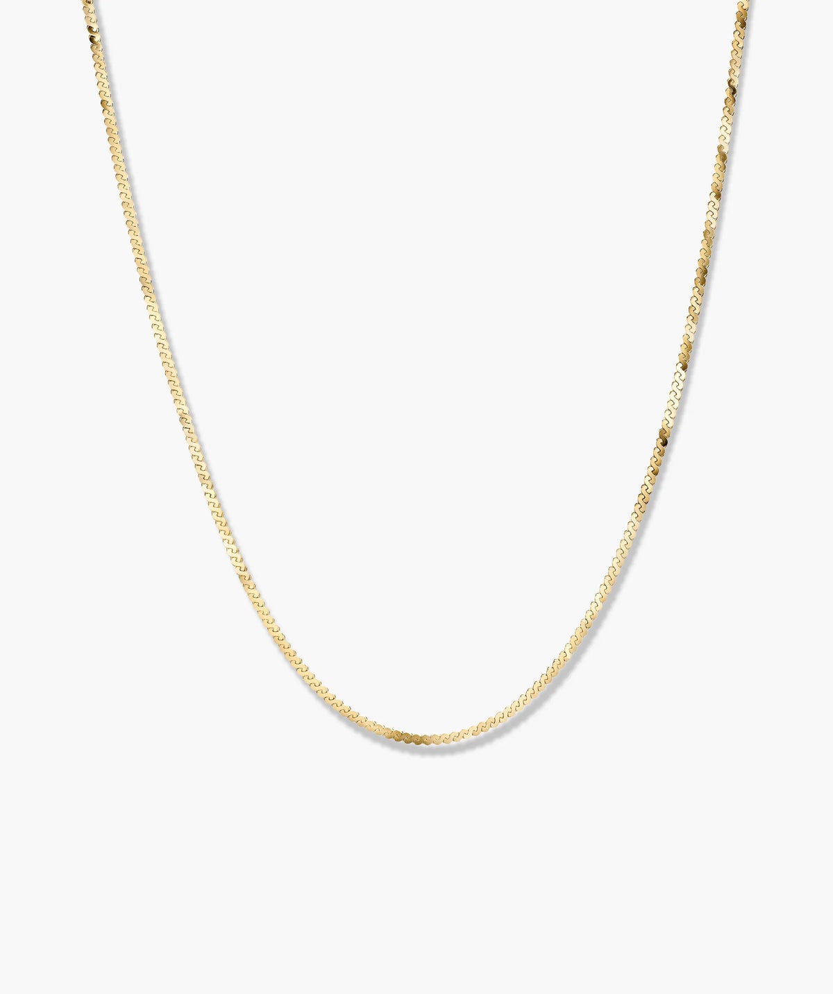 Serpentine Chain Necklace