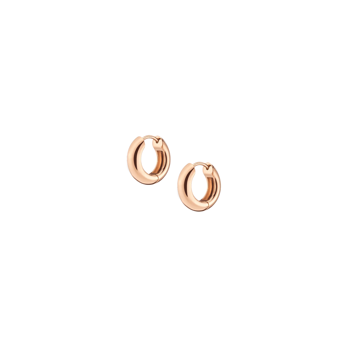 Small Chunky Hinged Hoop Earrings