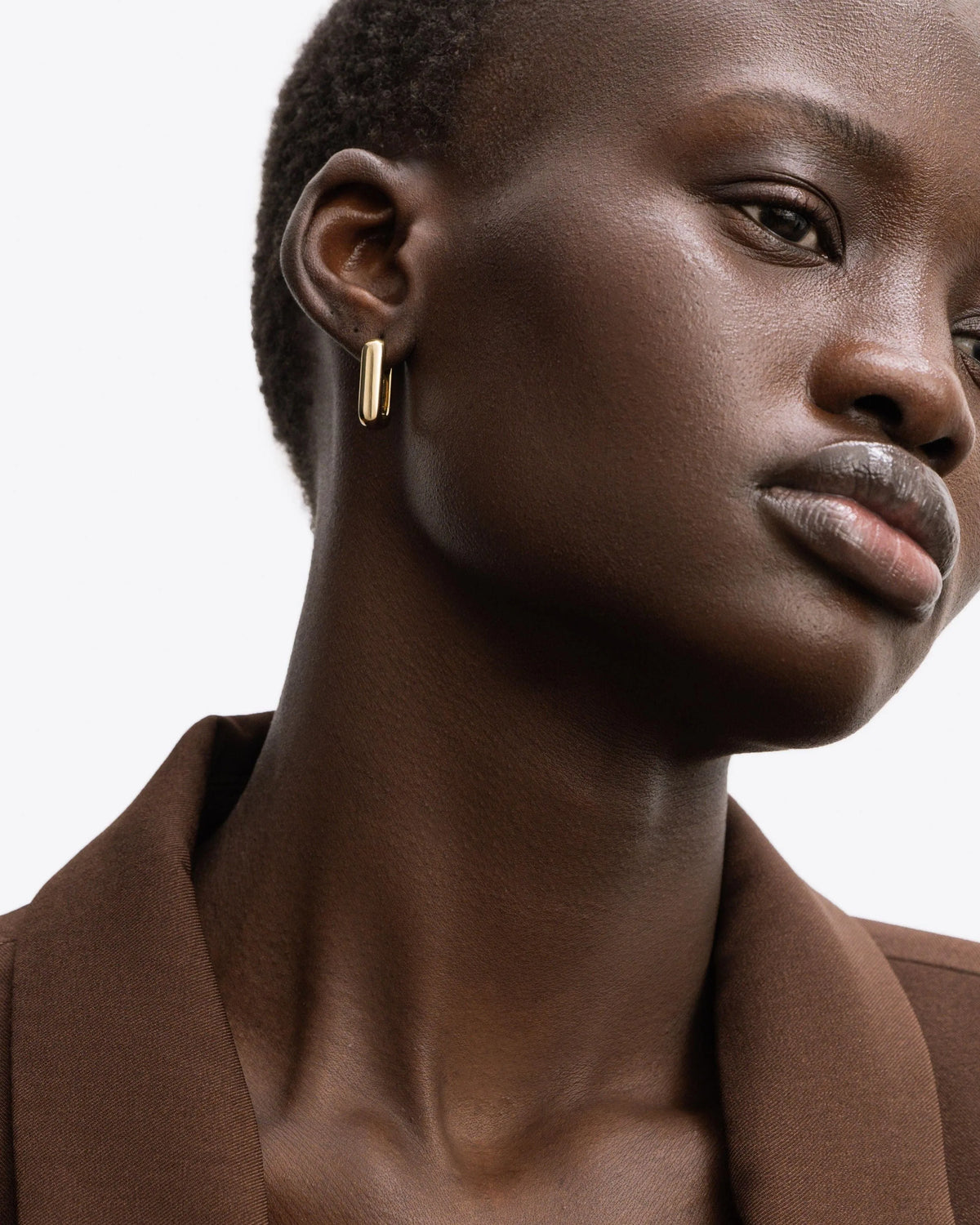 Vicenza Large Hoop Earrings