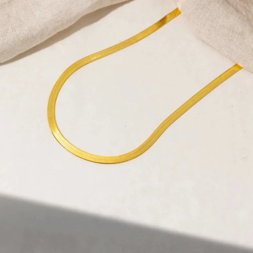 Women's 5mm Herringbone Chain Necklace