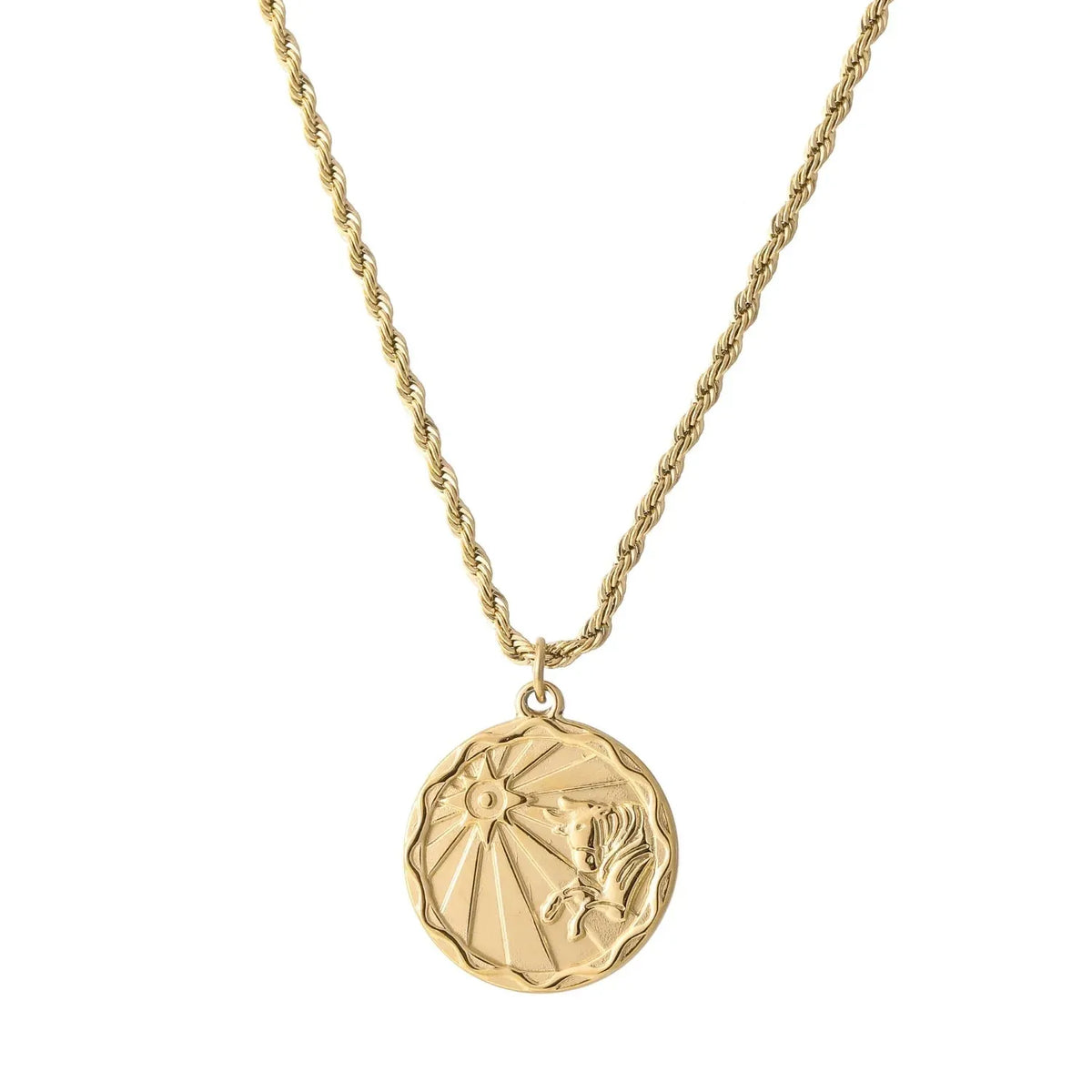Zodiac Coin Rope Chain Necklace