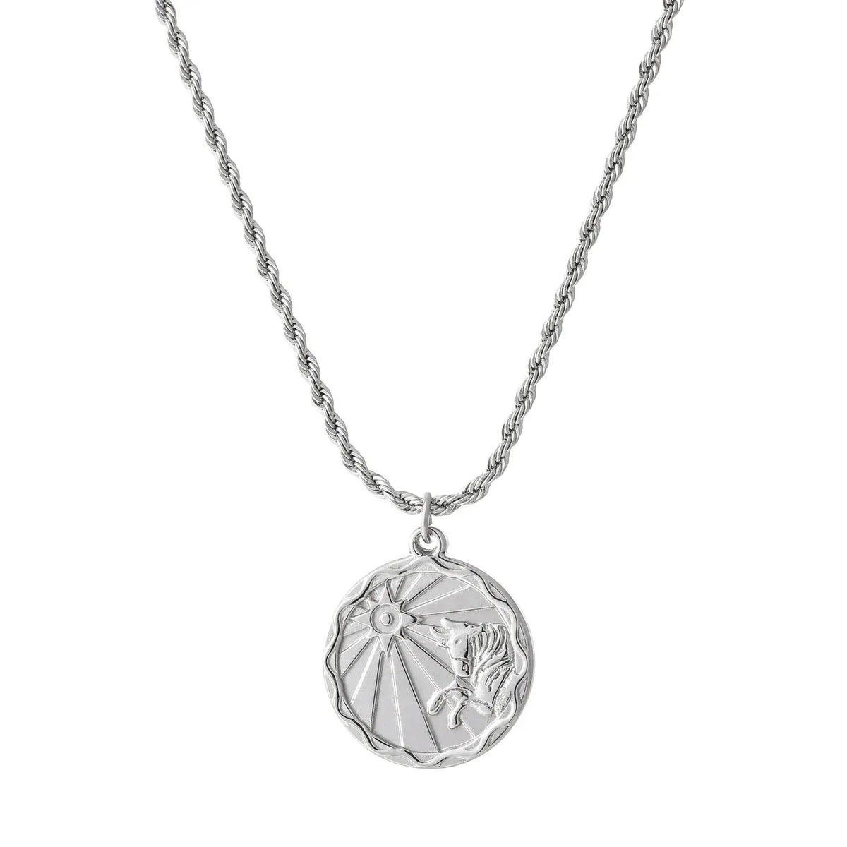 Zodiac Coin Rope Chain Necklace