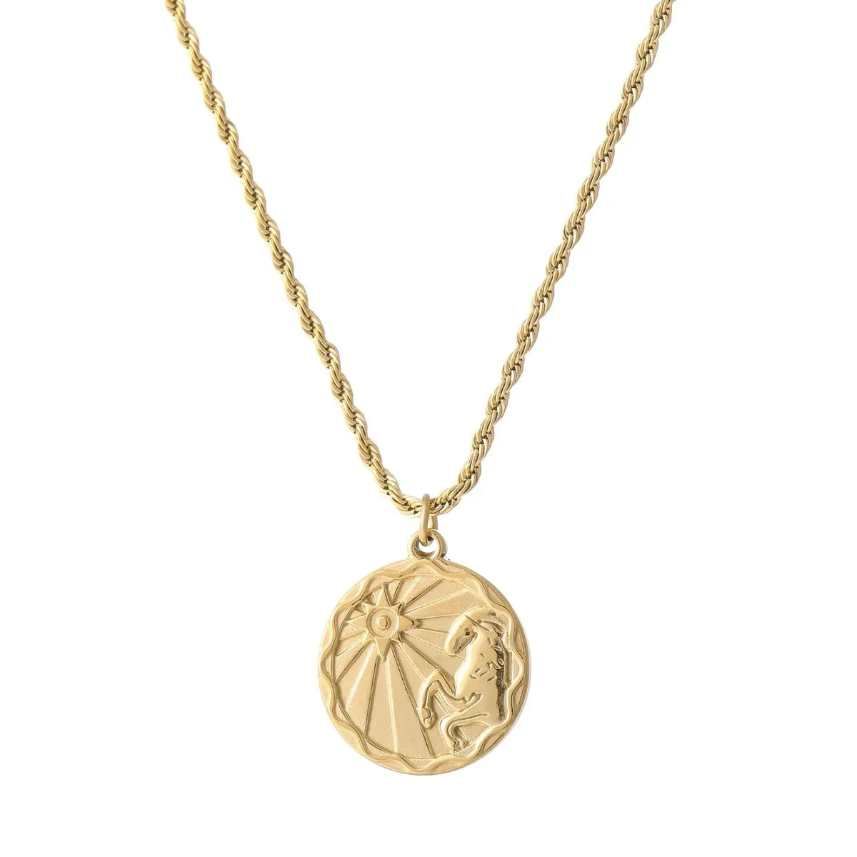 Zodiac Coin Rope Chain Necklace