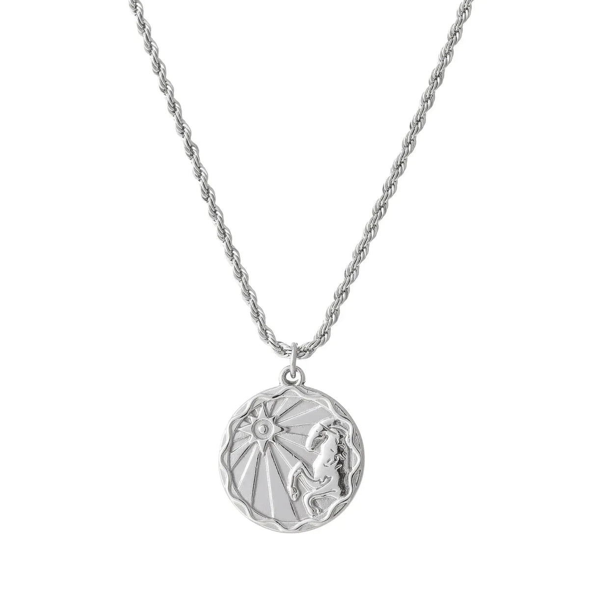 Zodiac Coin Rope Chain Necklace