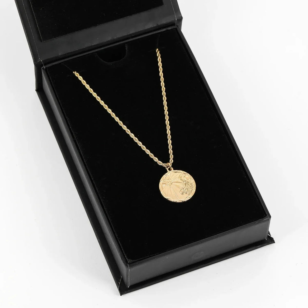 Zodiac Coin Rope Chain Necklace