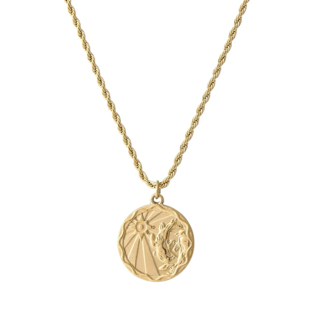 Zodiac Coin Rope Chain Necklace