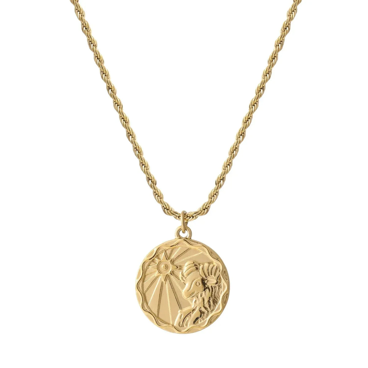 Zodiac Coin Rope Chain Necklace