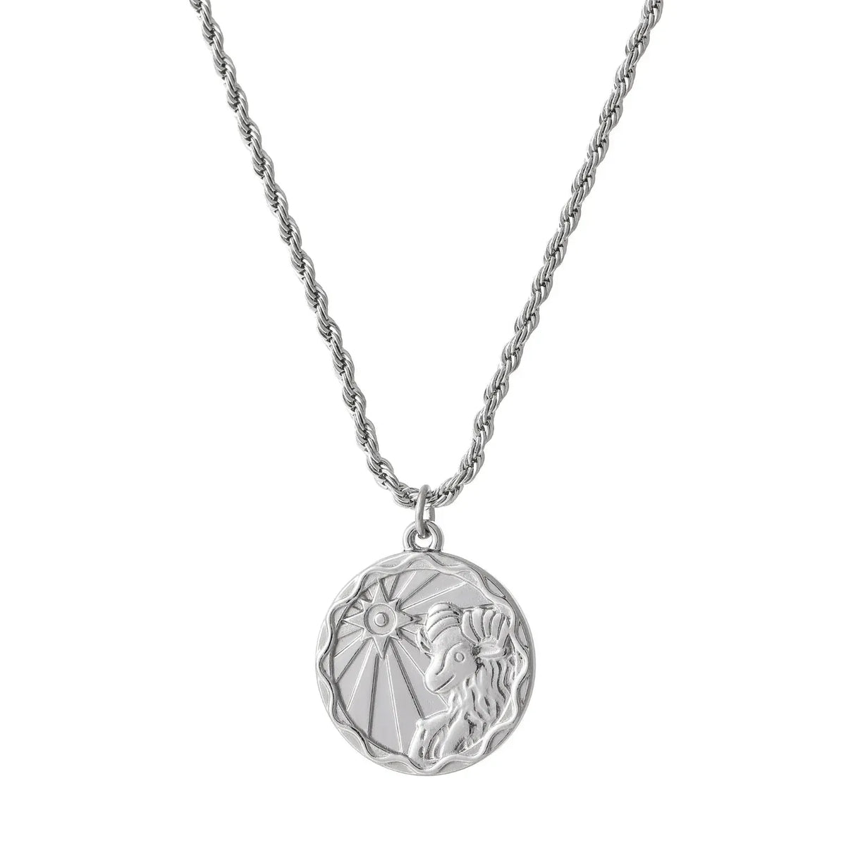 Zodiac Coin Rope Chain Necklace